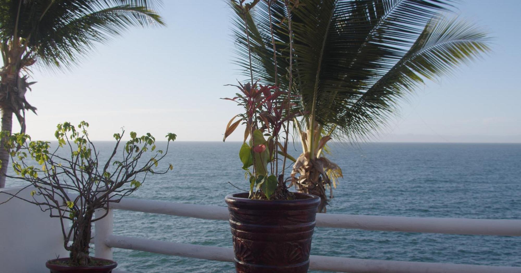 Traditional Sierra Leon Oceanfront Rooms - Adults Only Πουέρτο Βαγιάρτα Εξωτερικό φωτογραφία